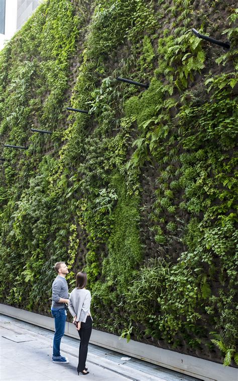 The new SFMOMA will feature a giant living wall