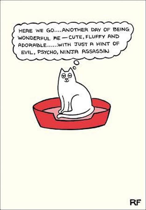 Funny Cat Birthday Card Greetings Humorous Blank From the Cats Rupert ...