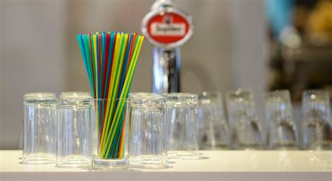 Alternatives to Plastic Straws: A Definitive Guide | The Official Wasserstrom Blog
