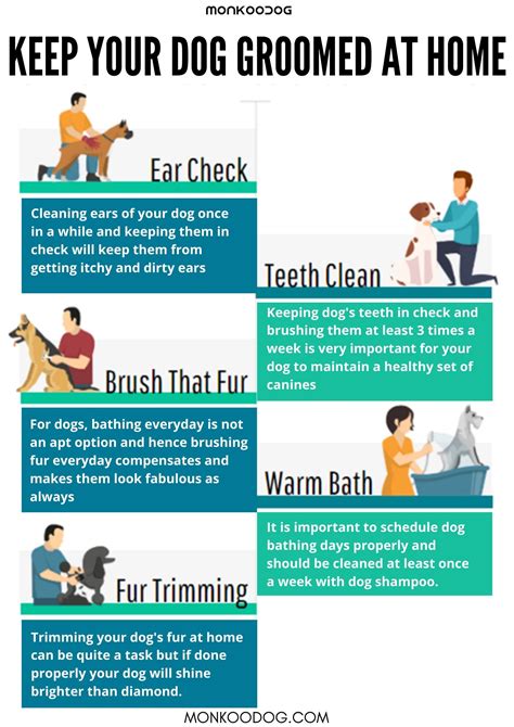 Pin on General Dog Care Tips || Helpful Tips for Dogs