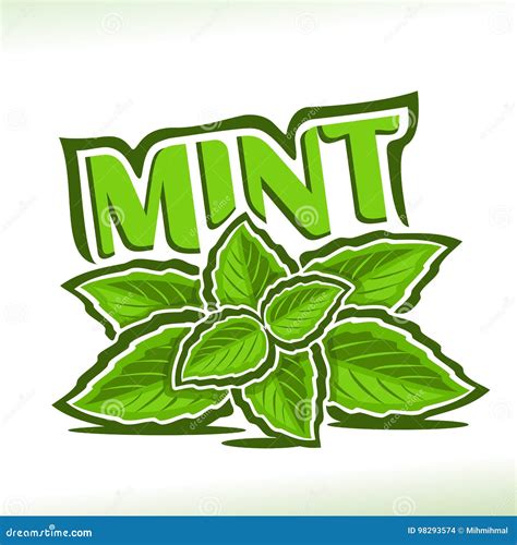 Vector Logo For Mint Herb | CartoonDealer.com #98293574