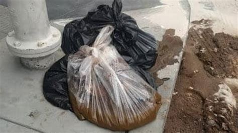 20 pounds of human poop found on San Francisco sidewalk | San Luis ...