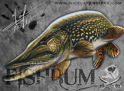 | Nick Laferriere | Artist | Fish drawings, Fly fishing art, Fish