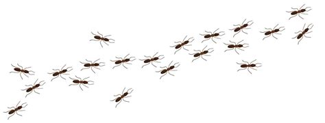 Ant trail in cartoon style 17764254 Vector Art at Vecteezy