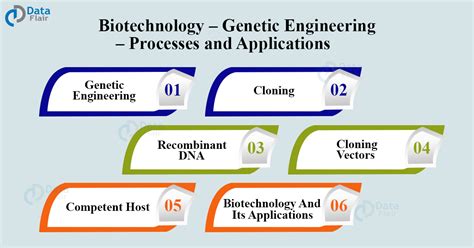 Biotechnology and its Applications - DataFlair