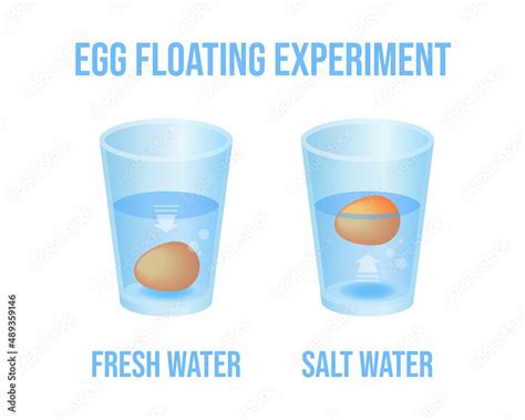 Vector illustration eggs floating in transparent glass of water ...