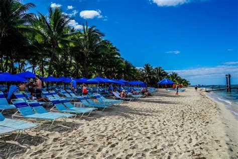 Island Life: Snorkeling At Paradise Beach Cozumel – DesertDivers