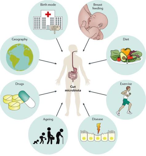 How Your Gut Microbiome Can Affect Your Health - HER'OLOGY