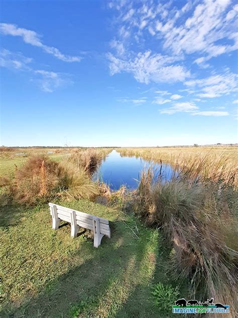 Lake Woodruff National Wildlife Refuge | Imagine Our Florida, Inc