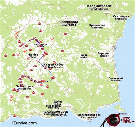 Heli Crash Site Route (Follow The Blue Dots) : r/dayz