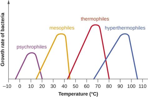 The Organism Which Grows Best Above 45 C - Kailey-has-Whitney