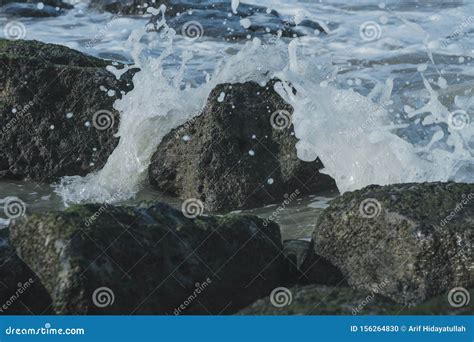 The Small Waves on the Beach Stock Photo - Image of corn, plants: 156264830