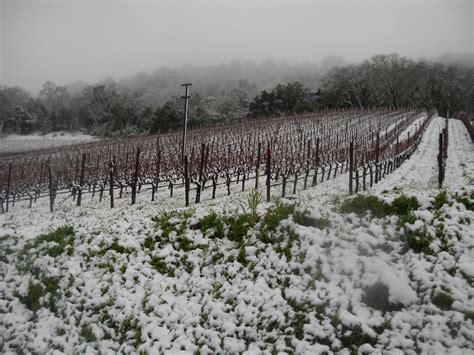 Piña Napa Valley: Snow in the Napa Valley