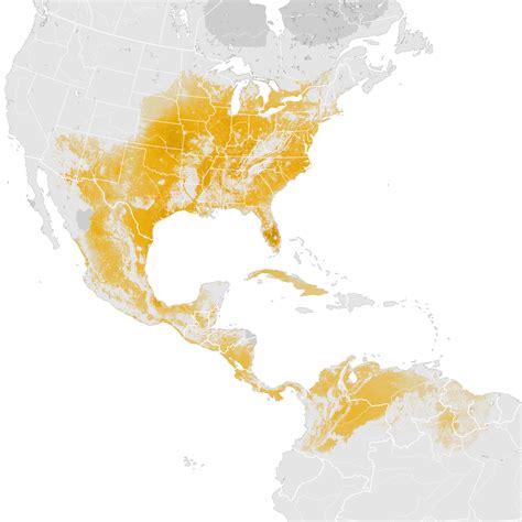 Eastern Meadowlark - Abundance map: Post-breeding migration - eBird Status and Trends