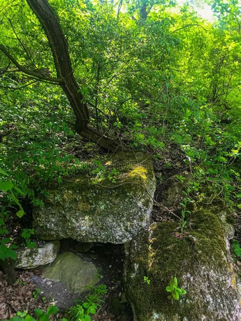 Old Orhei. Moldova. Nature.Butuceni. Green Hils. Stone in Forest Stock Photo - Image of geology ...