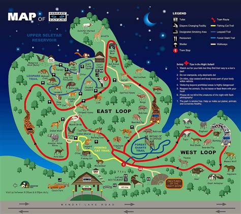 Singapore Night Safari: Good Idea? | Singapore zoo, Zoo map, Singapore travel