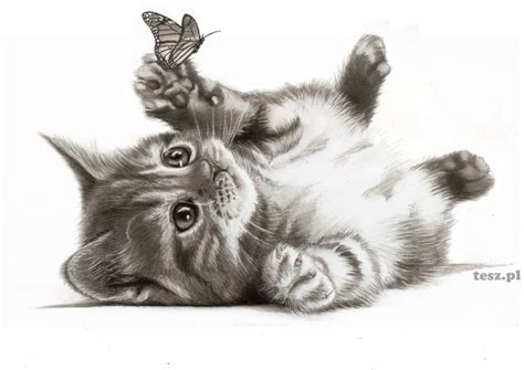 Cat and Butterfly 2 by TeSzu on DeviantArt