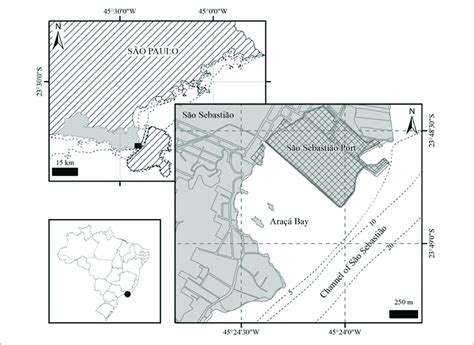 | Location of Araçá Bay on the northern coast of São Paulo State,... | Download Scientific Diagram