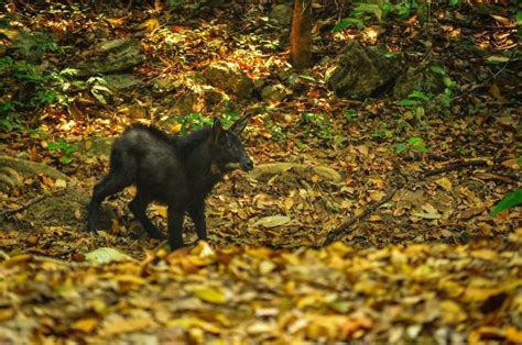 Erawan National Park (Si Sawat) - 2018 All You Need to Know Before You Go (with Photos ...