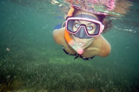 Panama City Beach: Snorkeling Trip by Boat | GetYourGuide