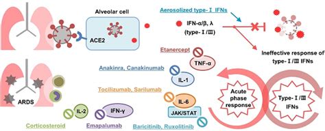 Immunopathogenesis and treatment of cytokine storm in COVID-19