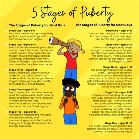 Breast Development Stages Chart