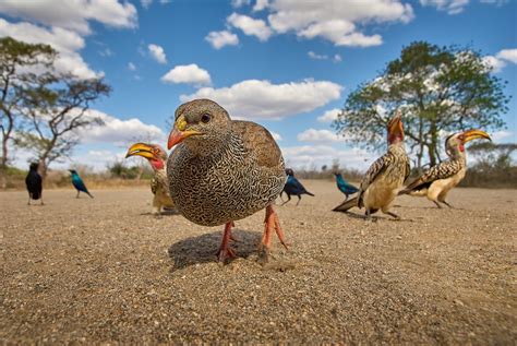 Wide Angle Wildlife Photography | Backcountry Gallery Photography Forums