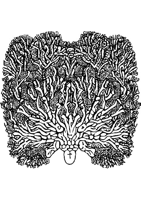 Download 286 Coral Reef Under Seas Coloring Pages Png - vrogue.co