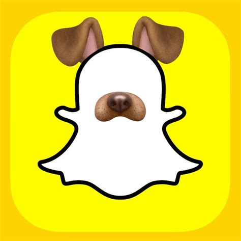 How To Make Dog Ears On Snapchat