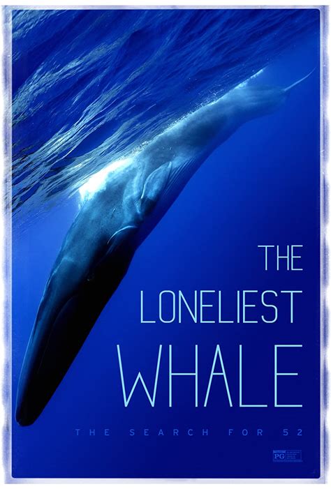 The 52 Hertz Whale: Loneliest Whale in the World – The Lariat