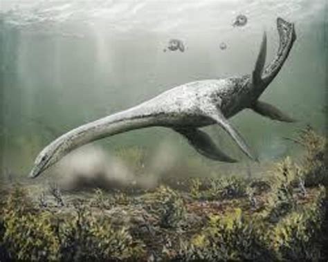 Number of Nessie sightings in 2019 highest in nearly 40 years - Nexus Newsfeed