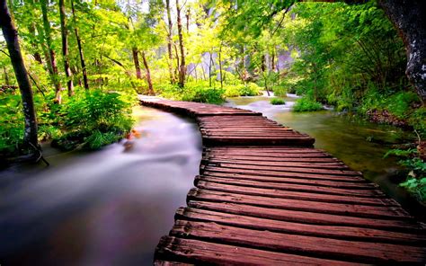 Wooden Path HD Wallpapers THIS Wallpaper | Plitvice national park ...