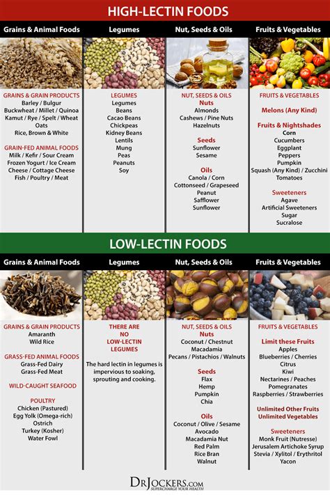 Why You Should Avoid Lectins in Your Diet! | Plant paradox diet, Diet and nutrition, Low lectin ...