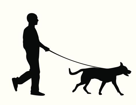 Silhouette Of A Man Walking A Dog Over A White Background Stock Illustration - Download Image ...