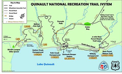 the Quinault Rainforest Nature Trail loop | Olympic peninsula hikes ...