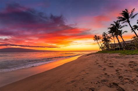 20 Best Beaches in Hawaii for an Unforgettable Trip