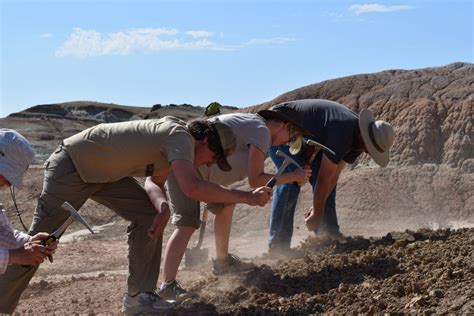 1.1.3 Biological Anthropology_fieldschool (4) - Anthropology and Geography | Colorado State ...