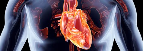 Journal of Clinical Cardiology and Cardiology Research| Biores Scientia