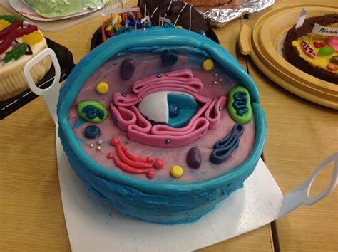 Yr8 Cell cakes | Cell model, Edible cell, Animal cell