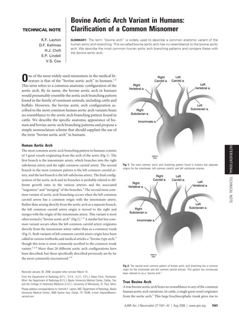 Bovine Aortic Arch Variant In Humans Clarification Of A Common | My XXX Hot Girl
