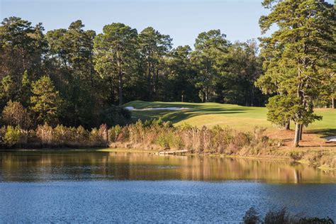 Palmetto Golf Club — PJKoenig Golf Photography PJKoenig Golf ...