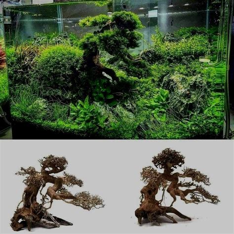 Underwater Treasures Aquarium Wood - Small | Aquarium driftwood, Fish ...