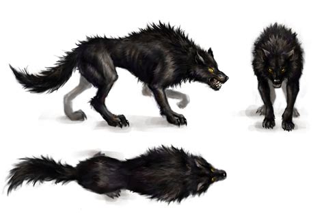 1000+ images about 273 A3 Wolf on Pinterest | Patrick o'brian, Wolves and Robert ri'chard