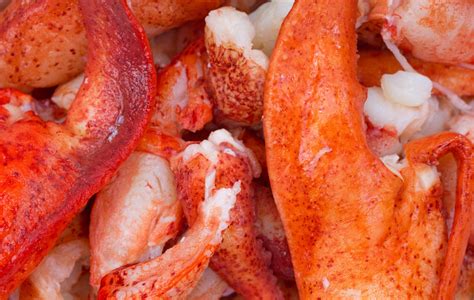 Where to Get Maine's Best Fresh Lobster Meat | Klenda Seafood