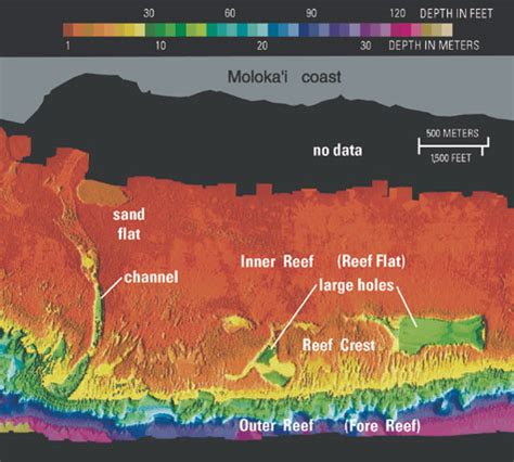 New Mapping Techniques Help Assess the Health of Hawaii's Coral Reefs