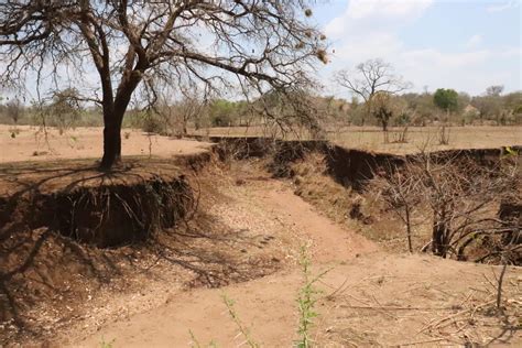 Gully erosion threatens Dete-Mabale community - #Asakhe - CITE