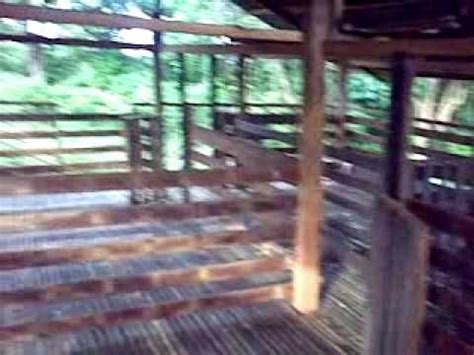 Low-cost Goat Housing | Goat house, Goats, House