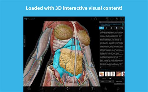 3D Human Anatomy Atlas by Visible Body - (macOS Apps) — AppAgg