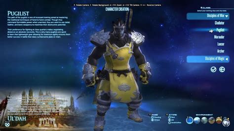 Final Fantasy Xiv Pugilist