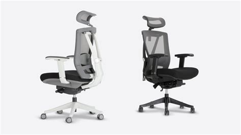 [Trusted Review] ErgoChair 2 - Autonomous Ergochair Pro